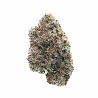 Candy Punch THCa Flower Sativa