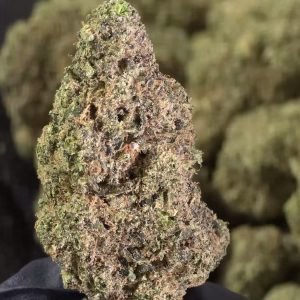 Caviar S2 (Jack’s Cleaner) THCa Flower – 37.22% – Sativa – Private Reserve (Copy) - Image 3