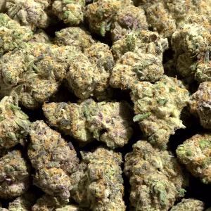 Cheetah Breath THCa Flower – 37.39% – Hybrid – Private Reserve - Image 2