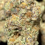 Cherry Bomb THCa Flower Hybrid