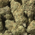 Cherry Cheesecake - 32.20% THCa - EX - Image 2