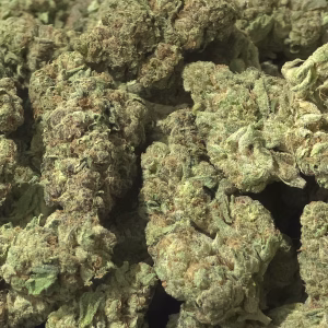 Cinderella Man THCa Flower — Sativa — 29.59% — Exotic - Image 2