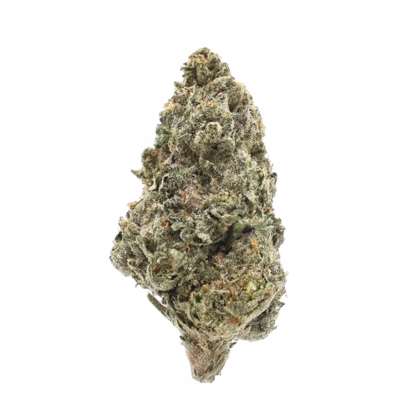 Daydream Diesel THCa Flower Sativa Daydream Diesel THCa Flower Sativa