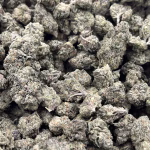Daydream Diesel THCa Flower – 27.27% – Sativa – Light Dep - Image 3