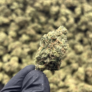 Durban Haze THCa Flower — Sativa — 38.57% — Exotic - Image 2