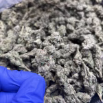 El Chivo THCa Flower – 26.56% – Indica – Light Dep - Image 3