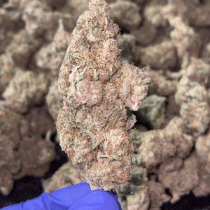 Elon THCa Flower – 31.80% – Hybrid – Exotic Indoor - Image 2