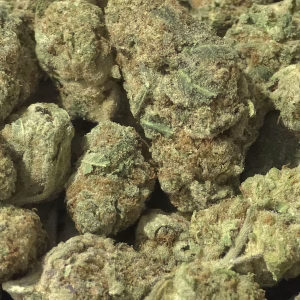 F1 THCa Flower – 33.67% – Sativa – Exotic - Image 2