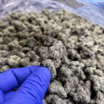 Frosted Waffles THCa Flower Hybrid — 35.00% THCa — Private Reserve - Image 2