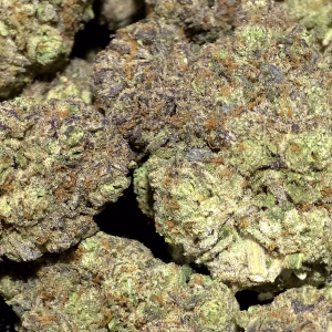Galactic Gas - 31.92% THCa - EX - Image 2