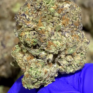 Galactic Gas THCa Flower Indica