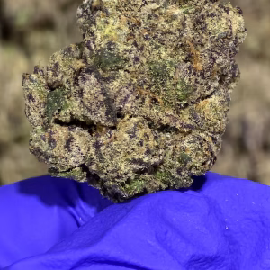 Gary Poppins THCa Flower Indica