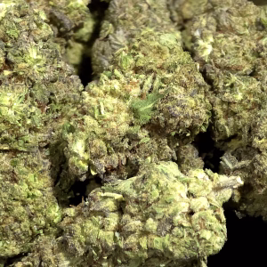 Gelonade THCa Flower – 27.58% – Sativa – Light Dep - Image 2
