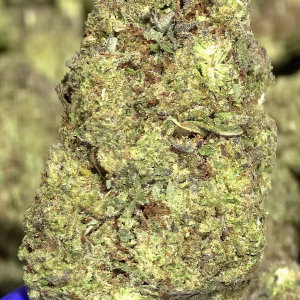 Gelonade THCa Flower Sativa