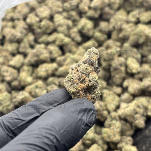 Gorilla Grip THCa Flower β 34.35% β Indica β Private Reserve - Image 3