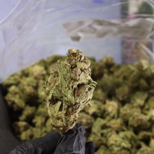 Grape Octane THCa Flower Indica