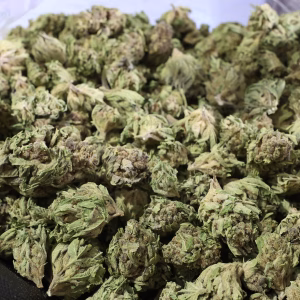 Grape Octane THCa Flower – 26.68% – Indica – Light Dep - Image 2