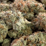 Headband THCa Flower — Indica — 42.32% — Private Reserve - Image 2