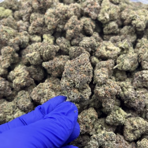 Hippie Crack — Sativa Strain — THCa Flower — 34.87% — Private Reserve - Image 2