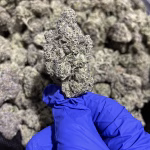 Krystal Kush THCa Flower Sativa