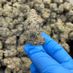 Waffle Haus THCa Flower Hybrid
