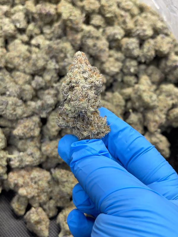 Waffle Haus THCa Flower Hybrid Waffle Haus THCa Flower Hybrid