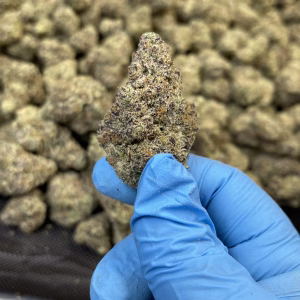 Cereal Milk THCa Flower Hybrid
