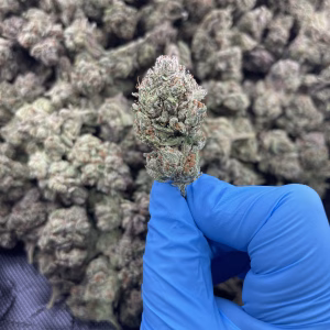 Red Bull THCa Flower Indica