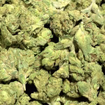 Ice Cream Gelato Smalls THCa Flower — Indica — 30.74% — Light Dep - Image 2