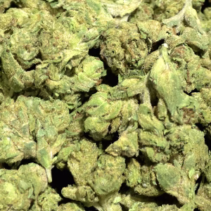 Ice Cream Gelato Smalls THCa Flower — Indica — 30.74% — Light Dep - Image 2