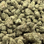 Jungle Pie THCa Flower — Hybrid — 32.60% — Private Reserve - Image 2