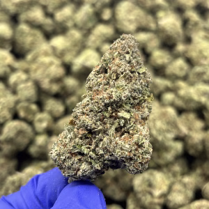 Jungle Pie THCa Flower — Hybrid — 32.60% — Private Reserve - Image 3