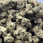 LA Kush Cakes THCa Flower — Indica — 27.95% — Light Dep Micro Smalls - Image 2