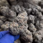 Lift Ticket — Hybrid Strain — THCa Flower — 35.00% — PR - Image 2