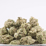 Obama Runtz THCa Flower Smalls Indica