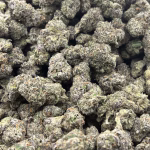 Orange Slushie THCa Flower – 37.64% – Indica – Private Reserve - Image 2