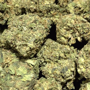 Oreoz THCa Flower – 26.54% – Indica – Light Dep - Image 2