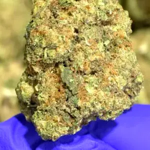 Peyote Haze THCa Flower Indica