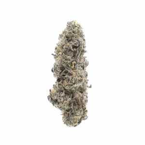 Pina Colada THCa Flower Sativa