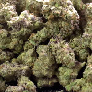 Pineapple Express (Smalls) THCa Flower – 30.81% – Sativa – PR - Image 3