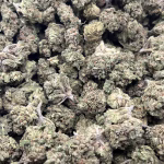 Pink Drink THCa Flower Hybrid