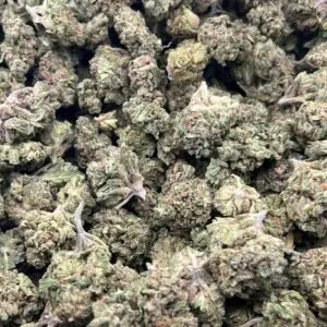 Pink Drink THCa Flower Hybrid