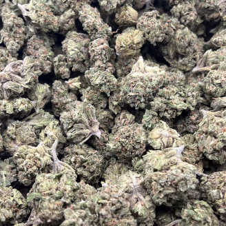 Pink Drink THCa Flower Hybrid