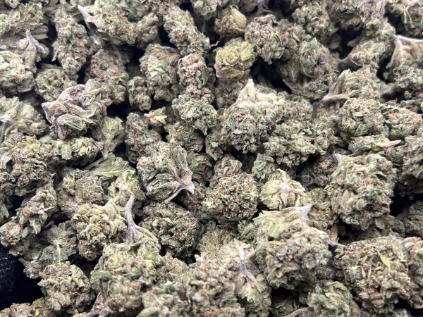 Pink Drink THCa Flower Hybrid