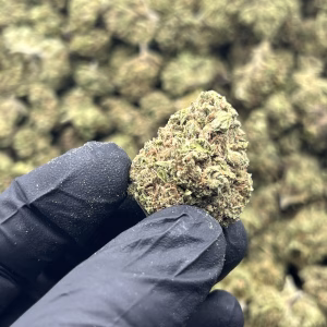 Pink Drink THCa Flower Hybrid