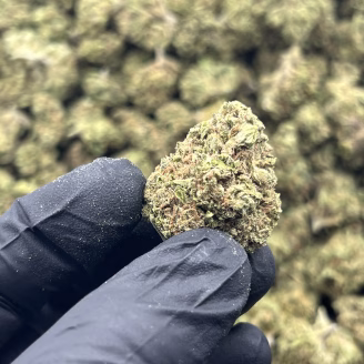 Pink Drink THCa Flower Hybrid