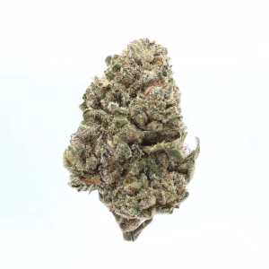Prohibition Kush THCa Flower Indica