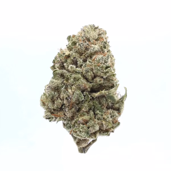 Prohibition Kush THCa Flower Indica Prohibition Kush THCa Flower Indica