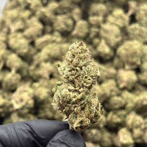 Prohibition Kush THCa Flower – 39.03% – Indica – Exotic - Image 2