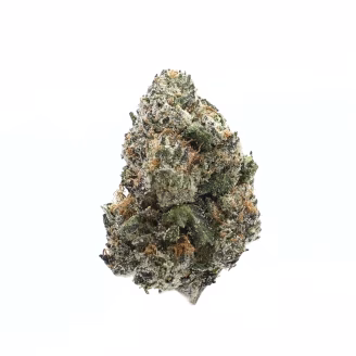 Prohibition Runtz THCa Flower Indica